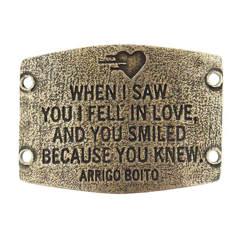 Large Sentiment  | When I saw you I fell in love  and you smiled because you knew.  |  Arrigo Boito